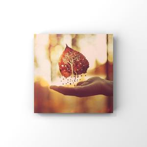 南向泽演老师家访66
